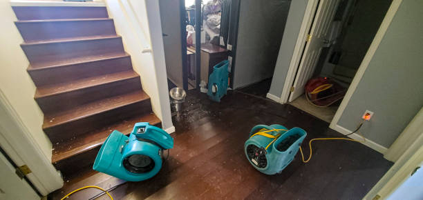 Best Local water damage restoration  in South Boston, VA