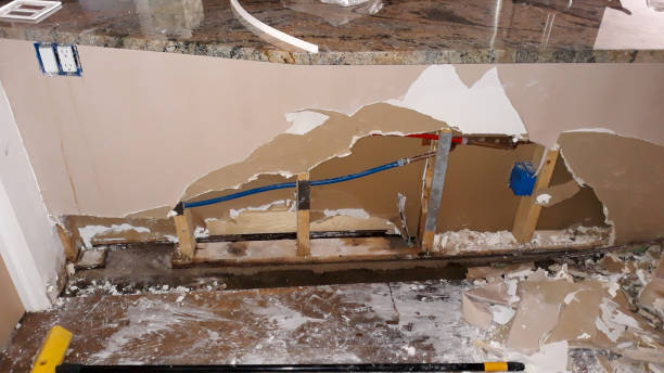 Best Carpet water damage restoration  in South Boston, VA