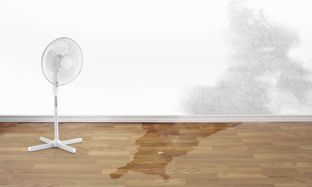  South Boston, VA Water damage restoration Pros