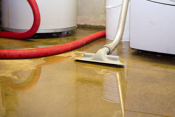 Best 24-hour water damage restoration  in South Boston, VA