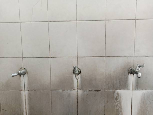 Trusted South Boston, VA Water damage restoration Experts