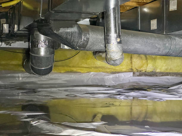 Best Water damage restoration near me  in South Boston, VA