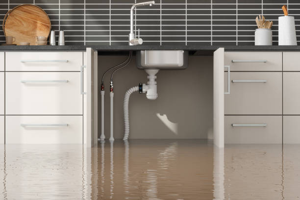 Best 24/7 water damage repair  in South Boston, VA